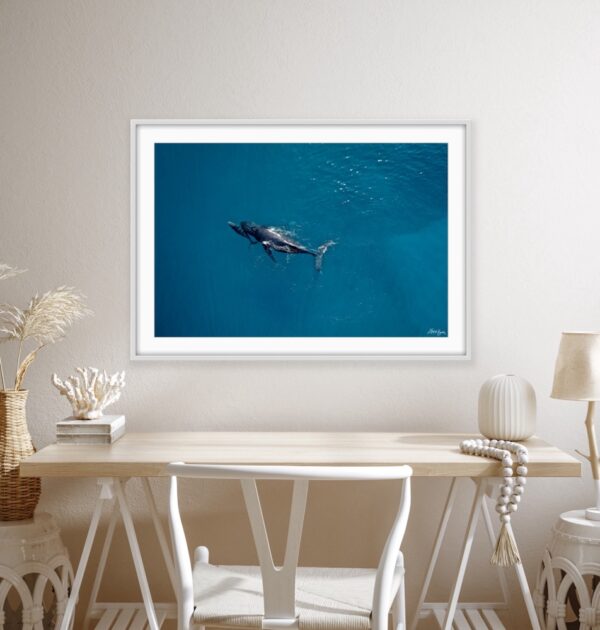 Cetaceans Series 1/2 Fine Art Print Whales Humpback Whales Wildlife Wildlife Photography Nature Photography Australia Western Australia North West Australia